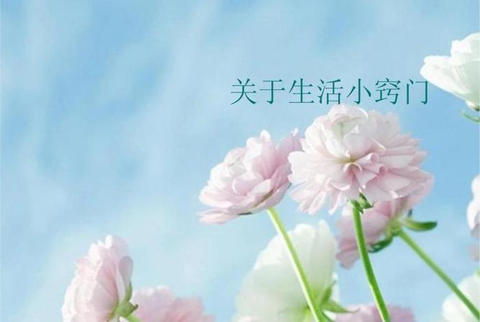 发现生活中的美ppt；发现生活中的美的素材