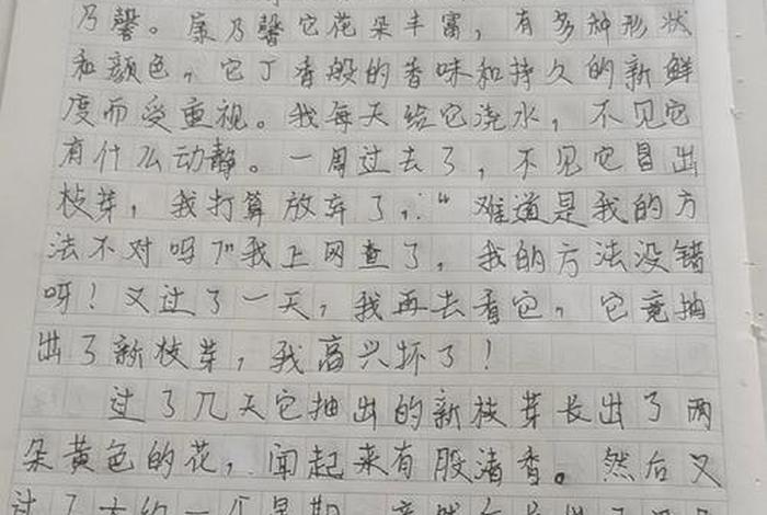 我眼中的生活100字 我眼中的生活200字