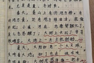 乡下生活作文600字 初中；乡下生活作文300字左右