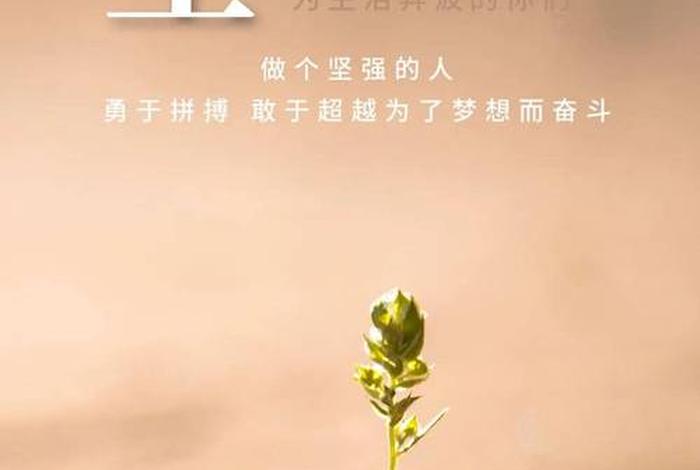 生活正能量图片大全集;生活正能量的说说心情句子 生活正能量图片大全集;生活正能量的说说心情句子