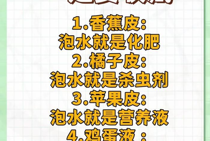 生活小妙招用(生活小妙招用什么养花) 生活小妙招用(生活小妙招用什么养花)