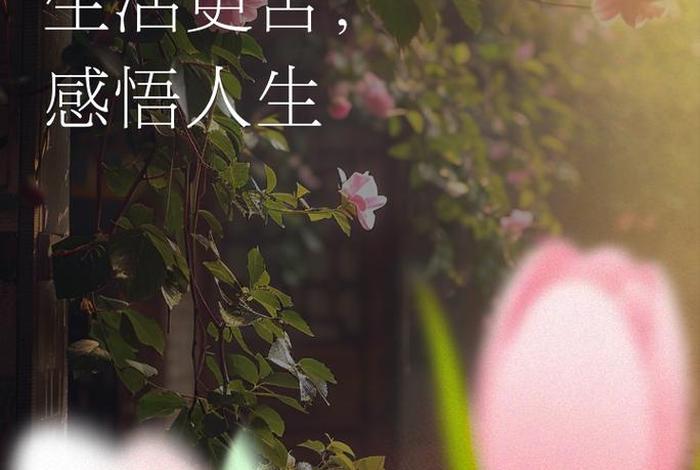 读书与生活素材;读书与人生的素材 读书与生活素材;读书与人生的素材