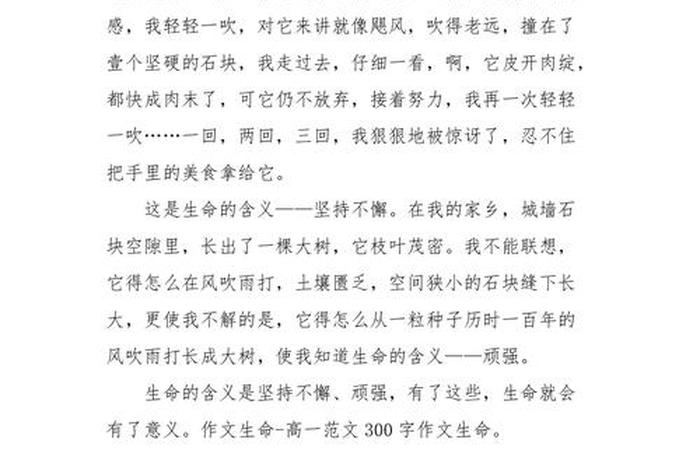生命与生活作文、生命与生活有什么关系 生命与生活作文、生命与生活有什么关系