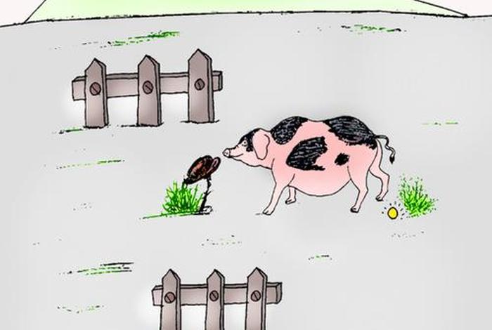 生活俭朴的生肖 - 生活俭朴的生肖正确答案