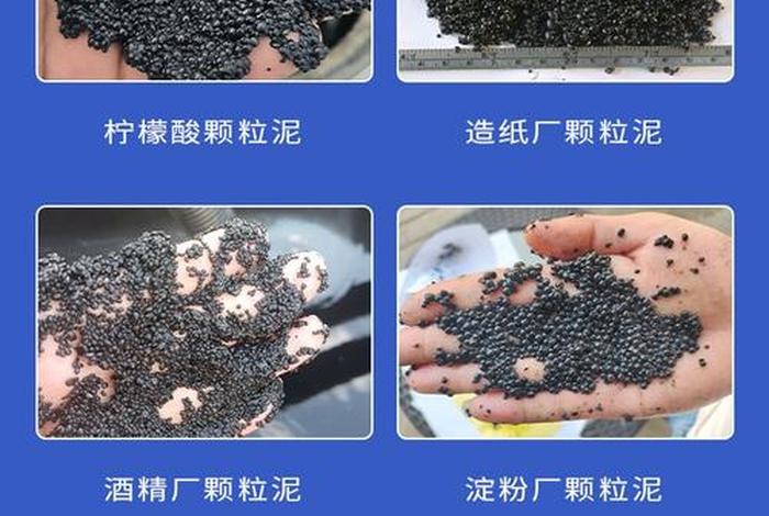 生活污泥,生活污泥的主要成分 生活污泥,生活污泥的主要成分