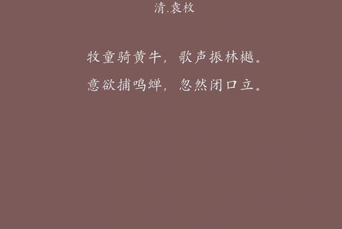 所见生活，所见所领 都是生活