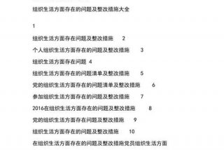 严格组织生活存在问题、严格组织生活存在问题及建议