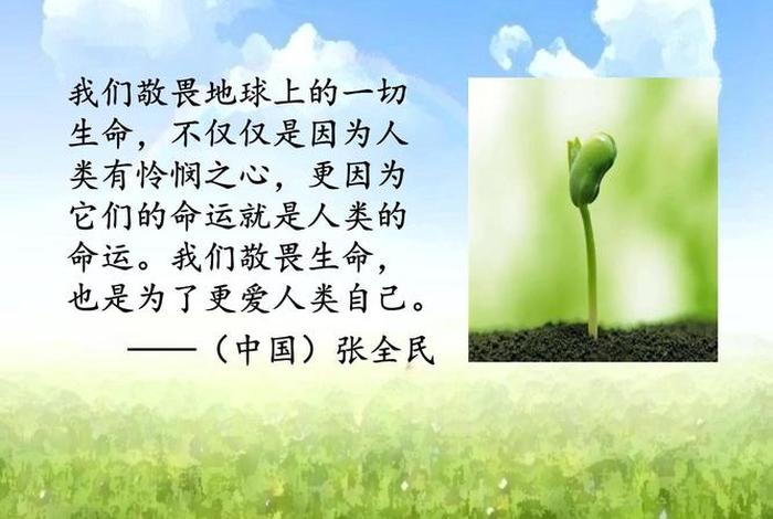 敬畏生活,敬畏生命 - 敬畏生活,敬畏生命的意思