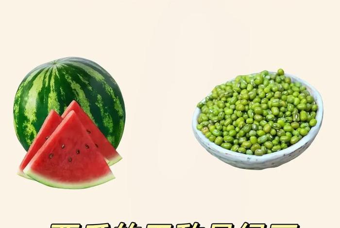 生活与命运西瓜视频在线看 - 生活与命运西瓜视频在线看全集 生活与命运西瓜视频在线看 - 生活与命运西瓜视频在线看全集