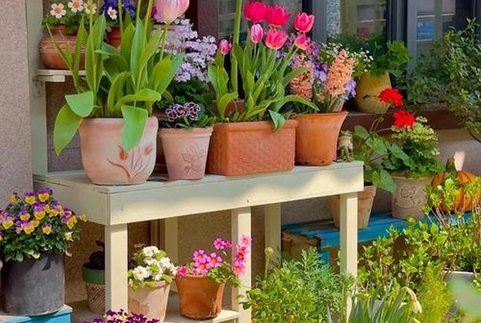 两人世界高清完整版免费观看 两人世界高清完整版免费观看我的小花园 两人世界高清完整版免费观看 两人世界高清完整版免费观看我的小花园