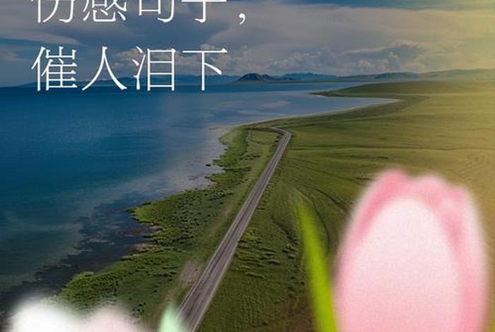 悲催生活的句子 - 悲催生活的句子说说心情