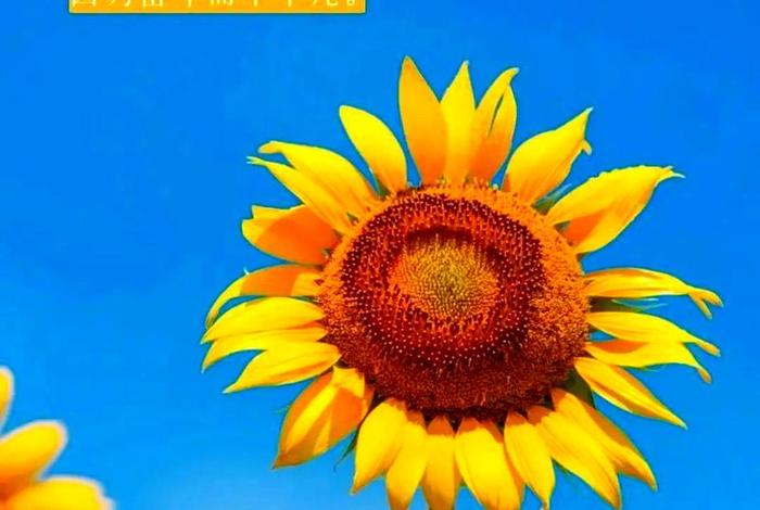 生活正能量的句子朋友圈、生活正能量句子发朋友圈 生活正能量的句子朋友圈、生活正能量句子发朋友圈