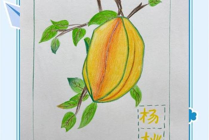 画杨桃想到生活中的一件事、通过画杨桃举一个生活例子 画杨桃想到生活中的一件事、通过画杨桃举一个生活例子