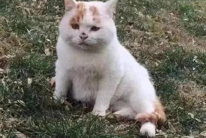 生活我表情包爆炸;我生活沙雕网友表情包 生活我表情包爆炸;我生活沙雕网友表情包