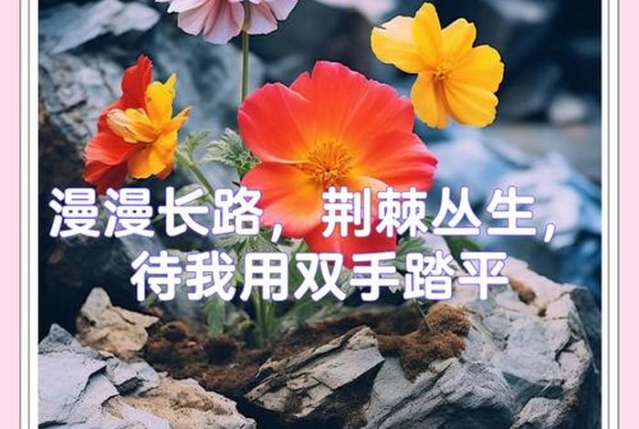 生活的道路上充满了鲜花和荆棘(生活充满了鲜花与荆棘) 生活的道路上充满了鲜花和荆棘(生活充满了鲜花与荆棘)