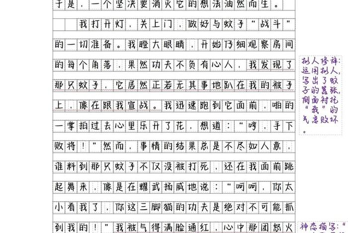 生活趣味的作文；关于生活趣味的句子