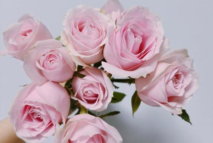 装点生活还是妆点生活；装点 妆点