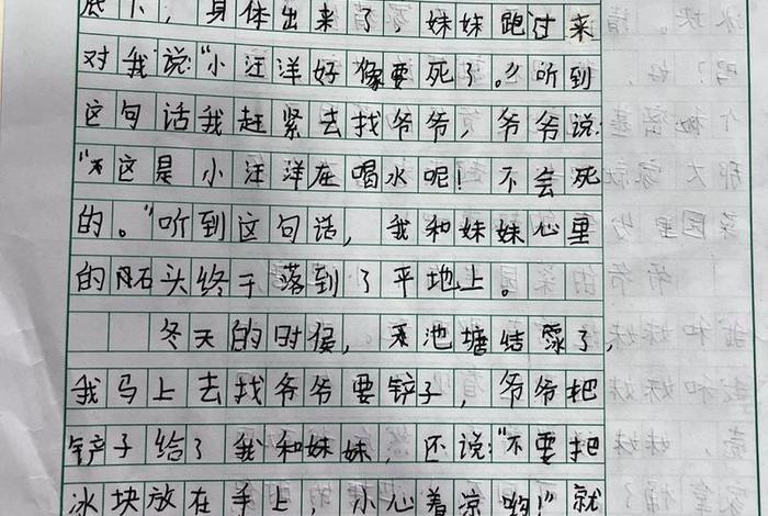 乡下生活作文150字四年级，乡下生活的作文450字