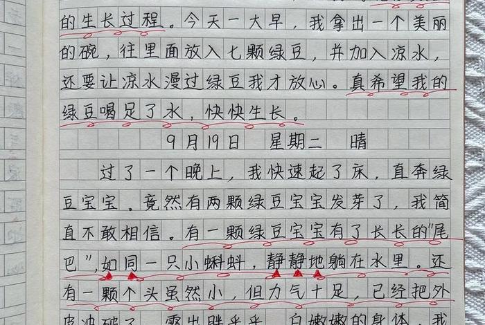 观察生活人或事的日记 - 观察生活的曰记