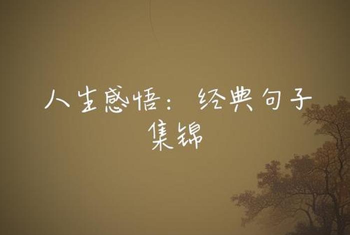 生活感悟的图片唯美大全（生活感悟的图片 唯美）