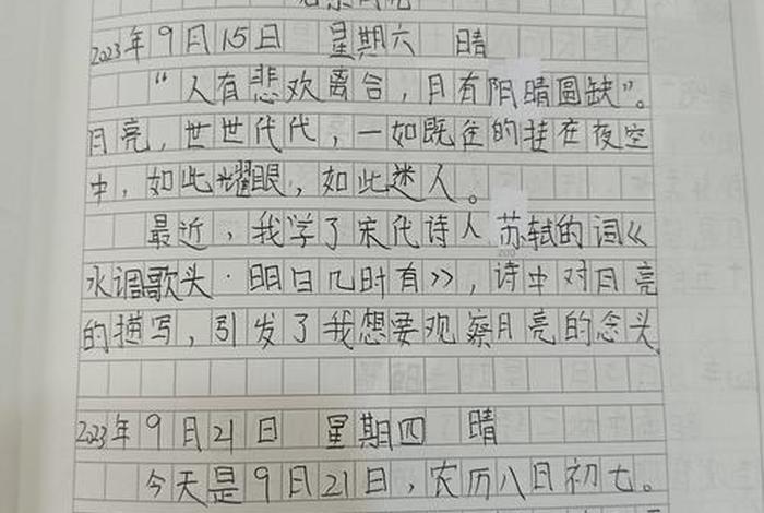 观察生活日记30字 - 观察生活的日记怎么写