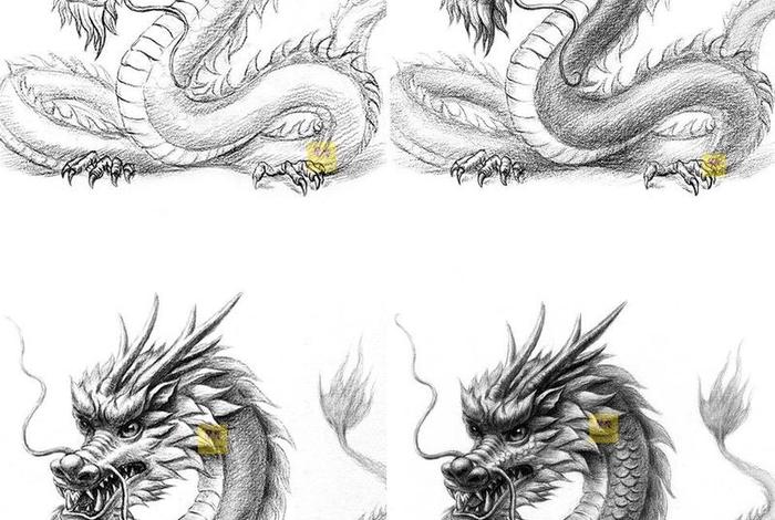 龙在哪里生活最好;龙生活在哪个空间 龙在哪里生活最好;龙生活在哪个空间