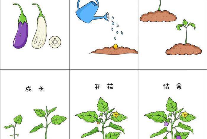 生活观察记录图片(生活观察记录图片卡通) 生活观察记录图片(生活观察记录图片卡通)