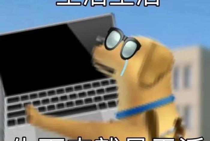 生活委员图片 生活委员表情包