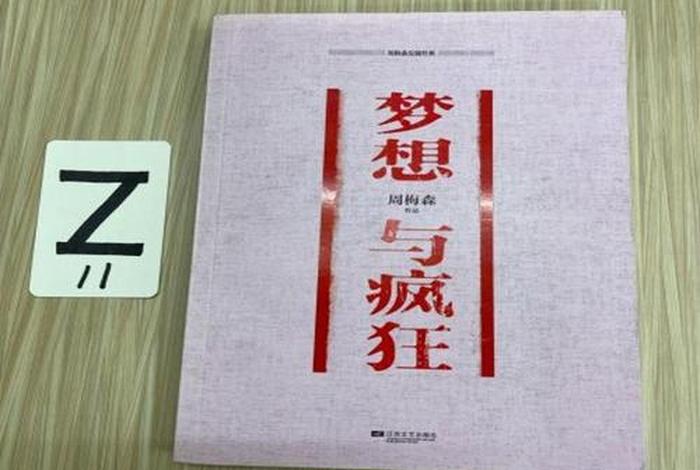 梦想与疯狂;梦想与疯狂简介 梦想与疯狂;梦想与疯狂简介