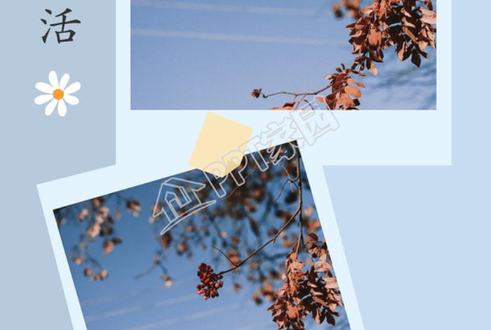 生活中的图案图片(生活中的图片带字图片) 生活中的图案图片(生活中的图片带字图片)