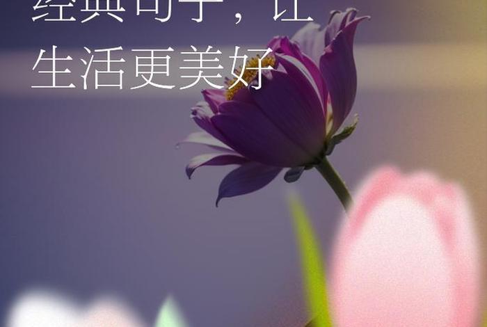 赞美生活的经典语句、赞美生活的经典语句短句