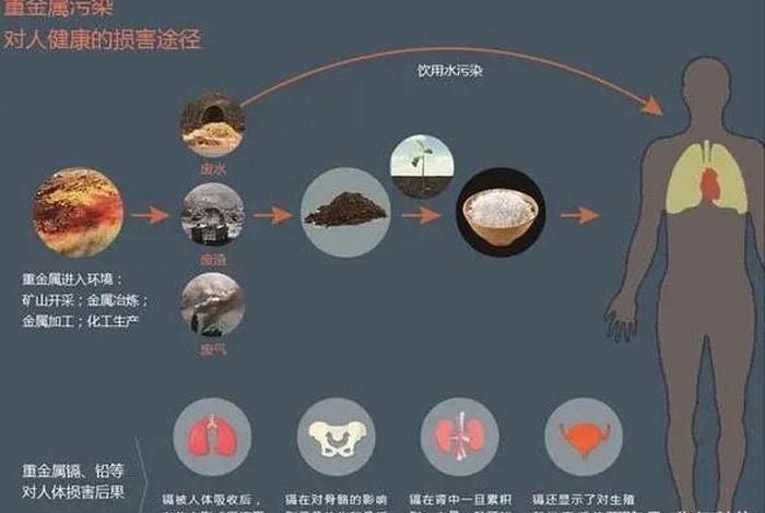 生活垃圾污染的危害(生活垃圾污染的危害有多大) 生活垃圾污染的危害(生活垃圾污染的危害有多大)