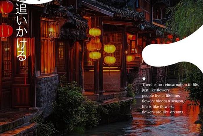 生活教会了我成长却没教我（生活教会了我文案）