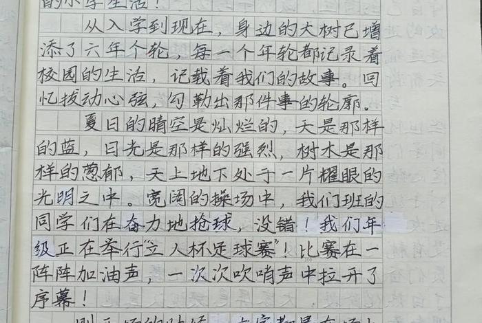 六年的小学生活600字；六年的小学生活作文700字