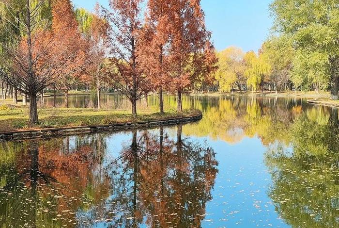 采集生活中的美好,寻找生活中的美素材 采集生活中的美好,寻找生活中的美素材