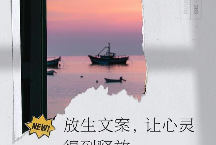 放生活动创意设计(放生活动文案) 放生活动创意设计(放生活动文案)