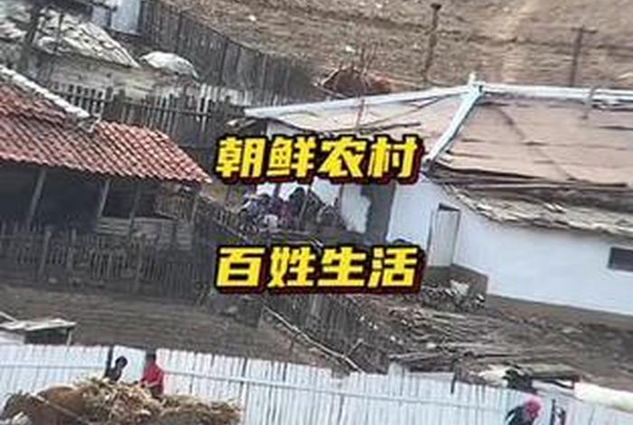 朝鲜农村生活真实现状视频,朝鲜农村生活真实现状视频大全 朝鲜农村生活真实现状视频,朝鲜农村生活真实现状视频大全