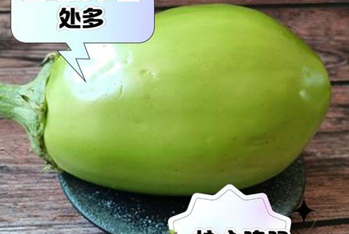 茄子生吃可以吗（茄子能生吃吗 有什么作用点）