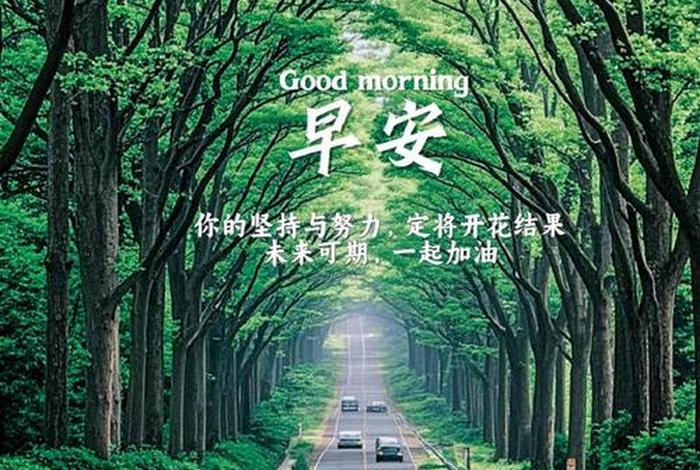 早安生活常识 早安生活短句 早安生活常识 早安生活短句