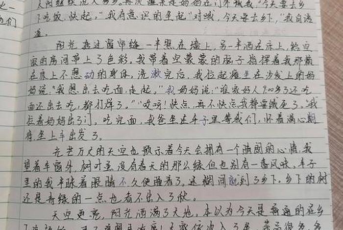 我的周末生活作文600字初中、我的周末生活300字初一