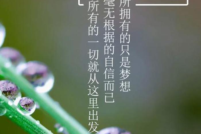早安生活是什么意思、早安生活的说说心情短语 早安生活是什么意思、早安生活的说说心情短语