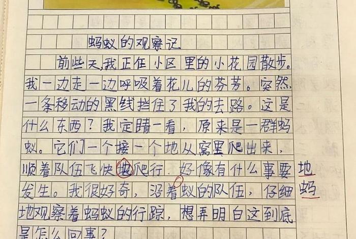 观察生活日记一篇50字,观察生活日记作文 观察生活日记一篇50字,观察生活日记作文