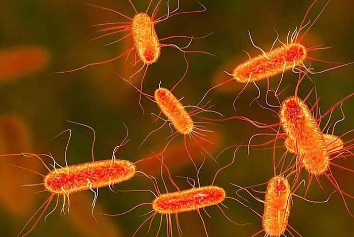 寄生生活的细菌有哪些、寄生生活的细菌是消费者吗? 寄生生活的细菌有哪些、寄生生活的细菌是消费者吗?