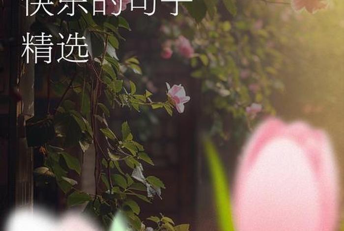 开心快乐的生活句子、开心快乐的生活说说