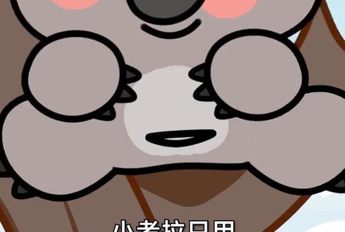 考拉生活作息,考拉的生活作息 考拉生活作息,考拉的生活作息