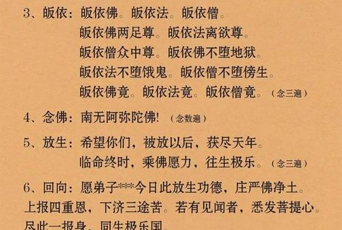 放生活动流程,放生活动宣传语 放生活动流程,放生活动宣传语