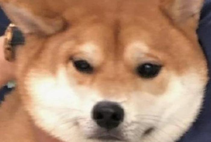 表情包生活太难、生活太难搞笑图片 表情包生活太难、生活太难搞笑图片