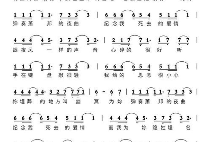 夜生活节 主题（夜生活之曲主题曲名字）