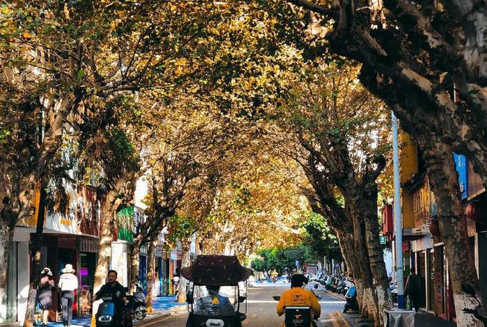 慢生活的城市叫什么；慢生活慢节奏的城市