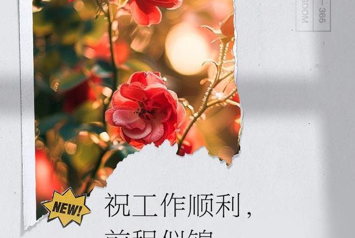 祝生活愉快工作顺利、祝您生活工作愉快的词语 祝生活愉快工作顺利、祝您生活工作愉快的词语